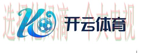 开云APP官网入口大全