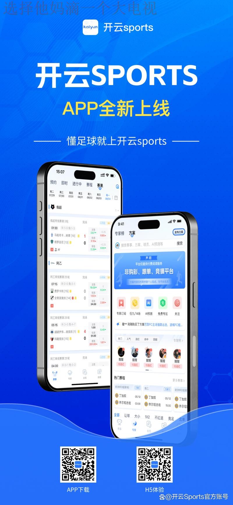 开云APP官网入口大全